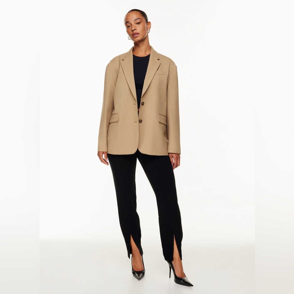 Aritzia Babaton Vogue Blazer